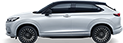 enp-1.png