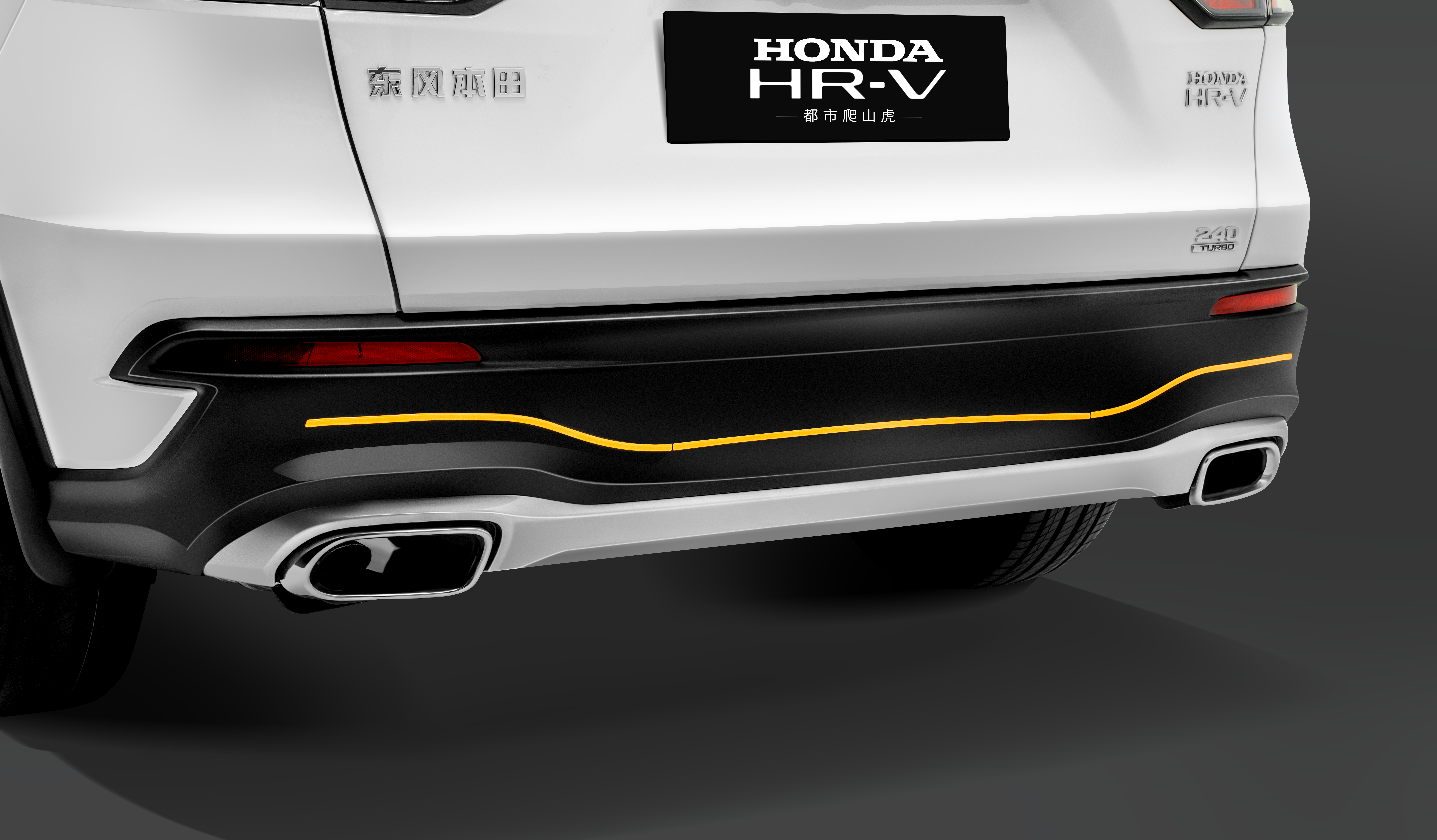 后包围炫彩贴 （PET）.png