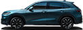 zrv1.png